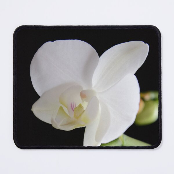 Item preview, Orchid Blossom designed and sold by Whisperingpeaks.