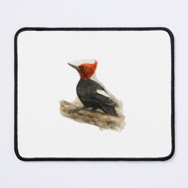 Item preview, Magellanic Woodpecker (Campephilus magellanicus) designed and sold by HOMETOWN86.