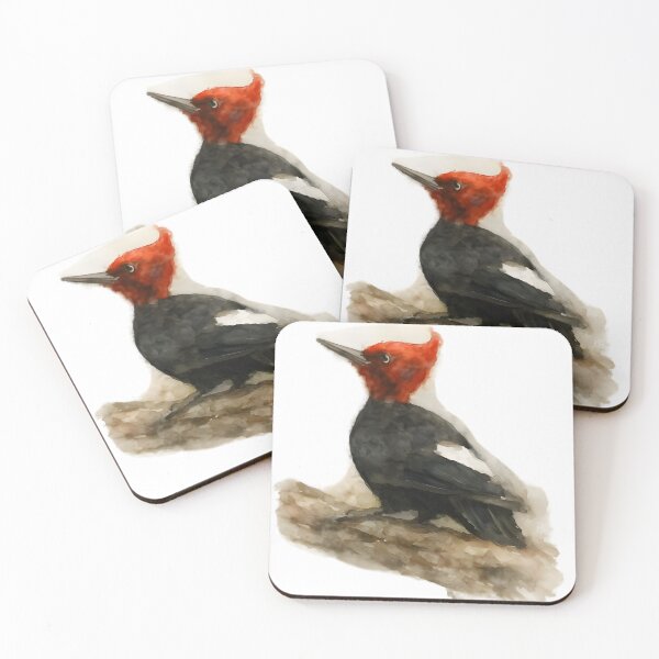 Item preview, Magellanic Woodpecker (Campephilus magellanicus) designed and sold by HOMETOWN86.