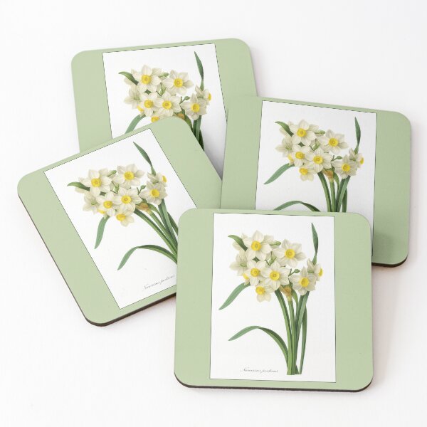 Item preview, Botanical Print: Narcissus Poeticus (daffadils) designed and sold by Tridentulus.