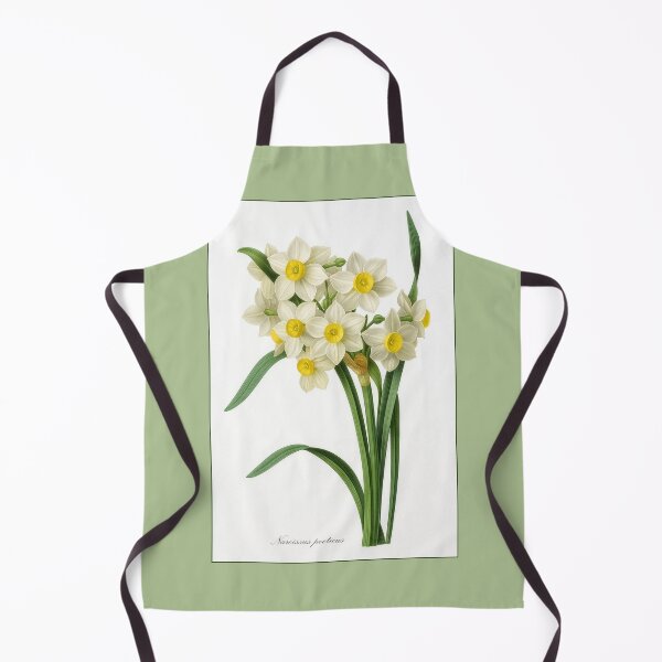 Item preview, Botanical Print: Narcissus Poeticus (daffadils) designed and sold by Tridentulus.