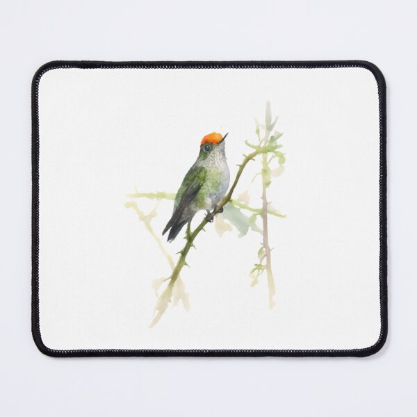 Item preview, Green-backed Firecrown (Sephanoides sephaniodes) designed and sold by HOMETOWN86.