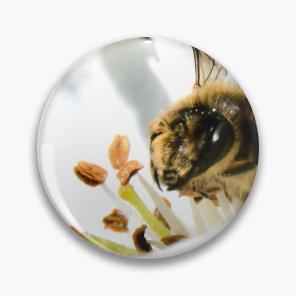 Item preview, Bee in a white blossom – A moment in nature / Swiss Artwork Photography designed and sold by Raphael Wolf.