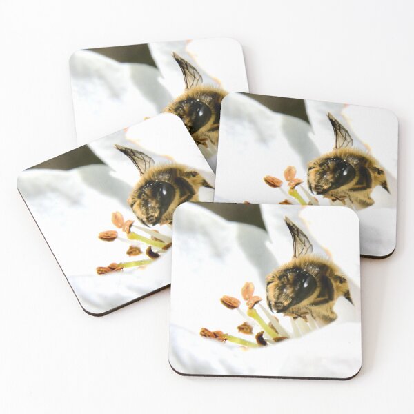 Item preview, Bee in a white blossom – A moment in nature / Swiss Artwork Photography designed and sold by Raphael Wolf.
