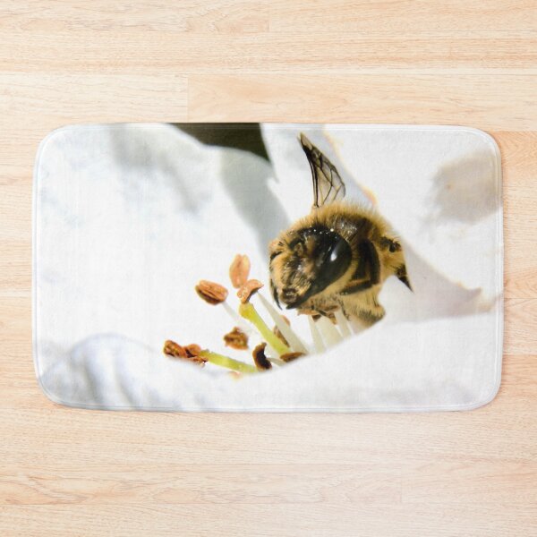 Item preview, Bee in a white blossom – A moment in nature / Swiss Artwork Photography designed and sold by Raphael Wolf.