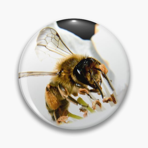Item preview, Bee in a white blossom – collection of nectar and life / Swiss Artwork Photography designed and sold by Raphael Wolf.