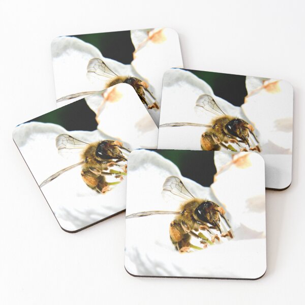 Item preview, Bee in a white blossom – collection of nectar and life / Swiss Artwork Photography designed and sold by Raphael Wolf.