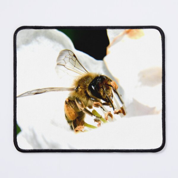 Item preview, Bee in a white blossom – collection of nectar and life / Swiss Artwork Photography designed and sold by Raphael Wolf.