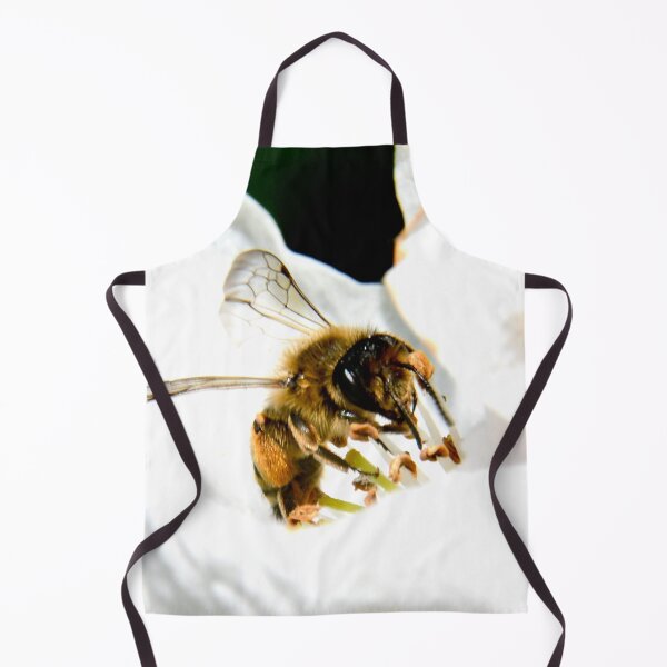 Item preview, Bee in a white blossom – collection of nectar and life / Swiss Artwork Photography designed and sold by Raphael Wolf.