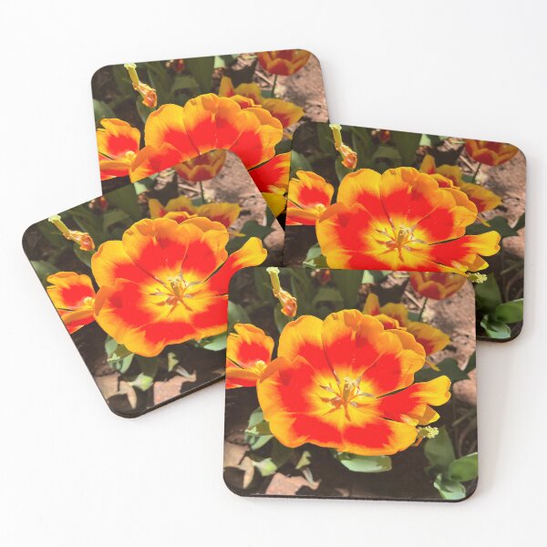 Item preview, Fiery Orange Tulip in Sunlight designed and sold by Be Captured by Brittany Emma.