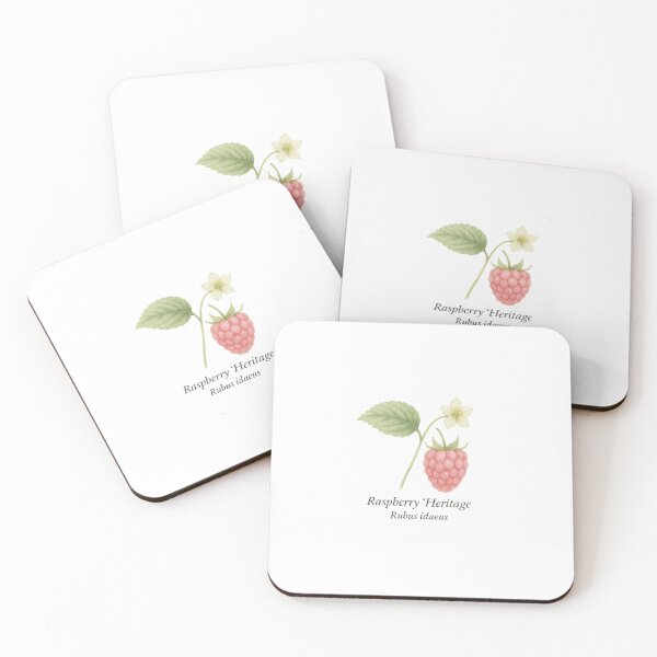 Item preview, Raspberry ‘Heritage’ – Soft Summer Botanical Illustration designed and sold by BloomKind.