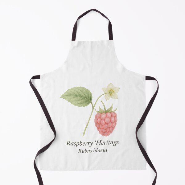 Item preview, Raspberry ‘Heritage’ – Soft Summer Botanical Illustration designed and sold by BloomKind.