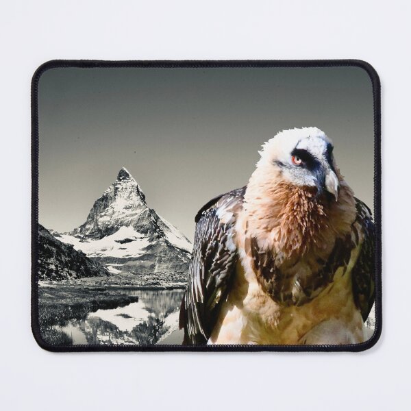 Item preview, Bearded vulture in front of the Matterhorn – a play of colors in the Alps / Swiss Artwork Photography designed and sold by Raphael Wolf.