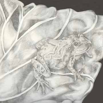 Artwork thumbnail, Spring Peeper by LizardSpirit
