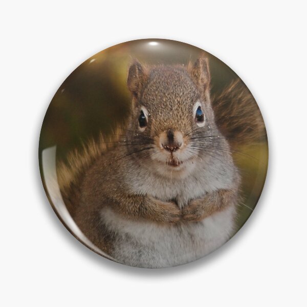 Item preview, Friendly squirrels designed and sold by Production Art Manon Meilleur.