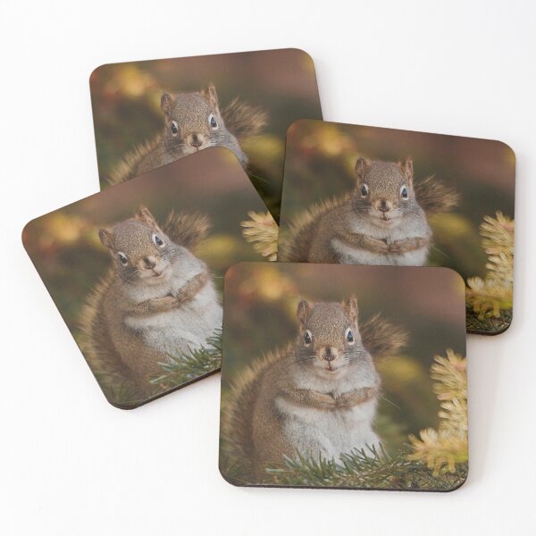 Item preview, Friendly squirrels designed and sold by Production Art Manon Meilleur.