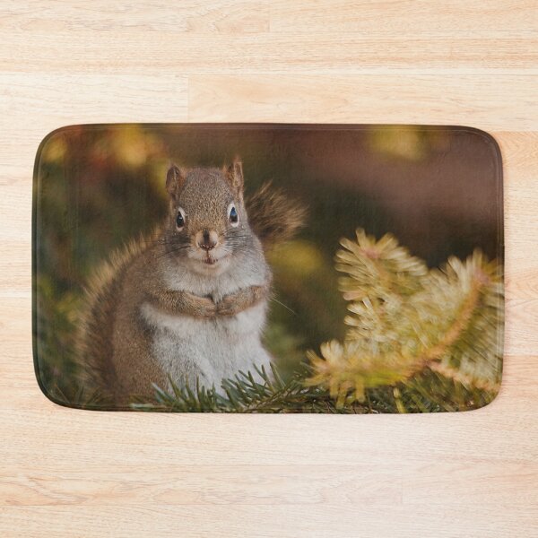 Item preview, Friendly squirrels designed and sold by Production Art Manon Meilleur.