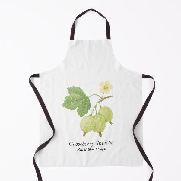 Item preview, Gooseberry ‘Invicta’ – Light Green Botanical Illustration designed and sold by BloomKind.