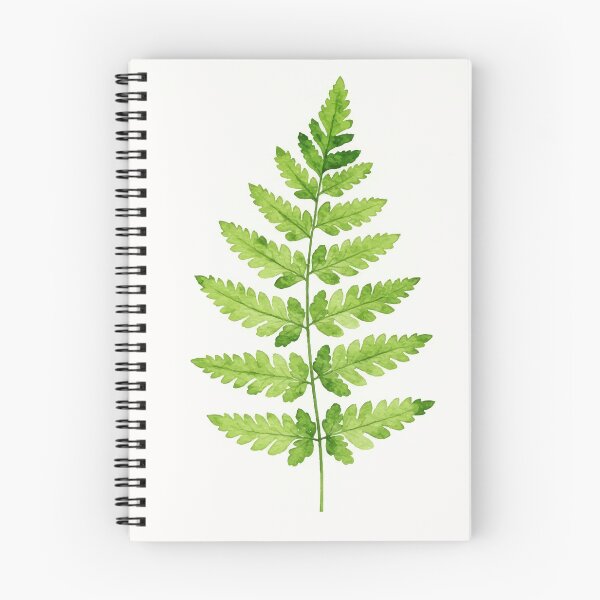 Item preview, Genus Dryopteris designed and sold by Design4uStudio.