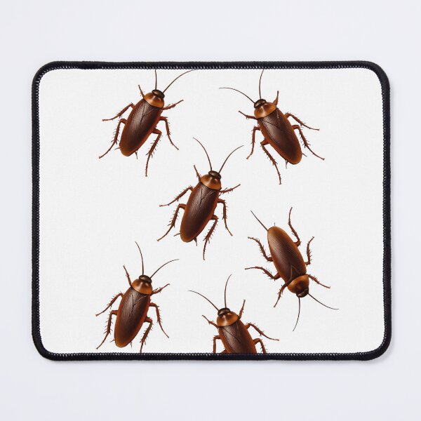 Item preview, Realistic Cockroach Prank Shirt designed and sold by loccotown168.
