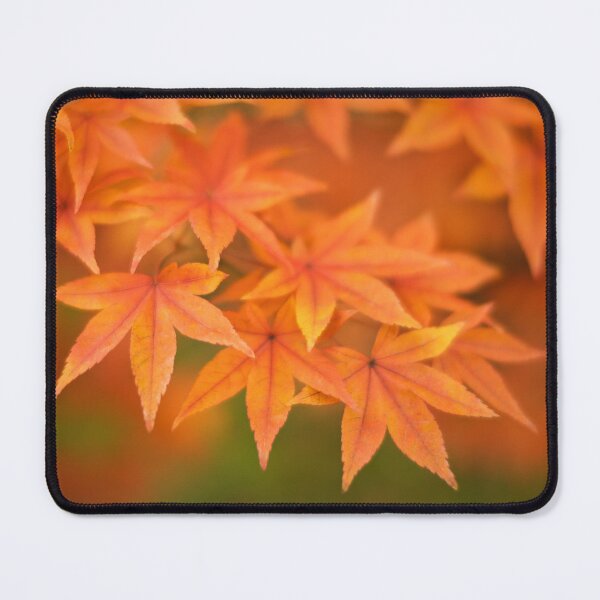Item preview, Leaves of Amber designed and sold by David Bowman.