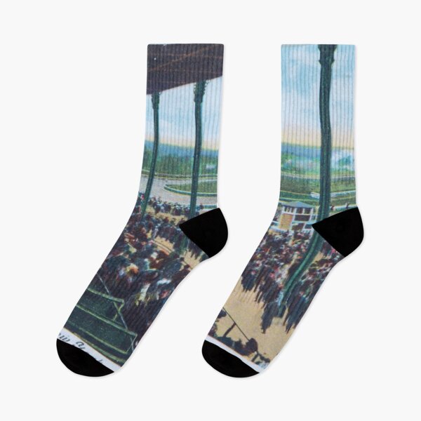 Item preview, Belmont Park race track in New York circa 1909 designed and sold by Photopat.