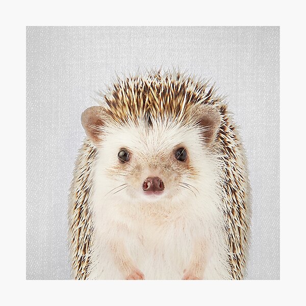 jungle nursery prints