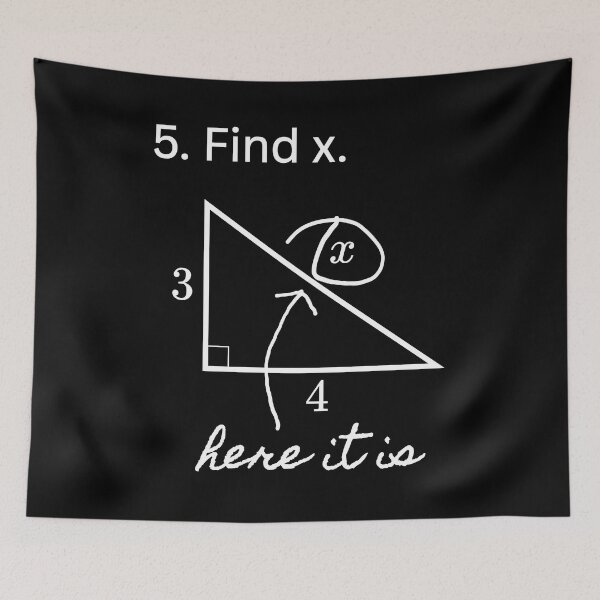 Item preview, Find x. Here it is! Maths Exam Humour Design designed and sold by DoingMaths.