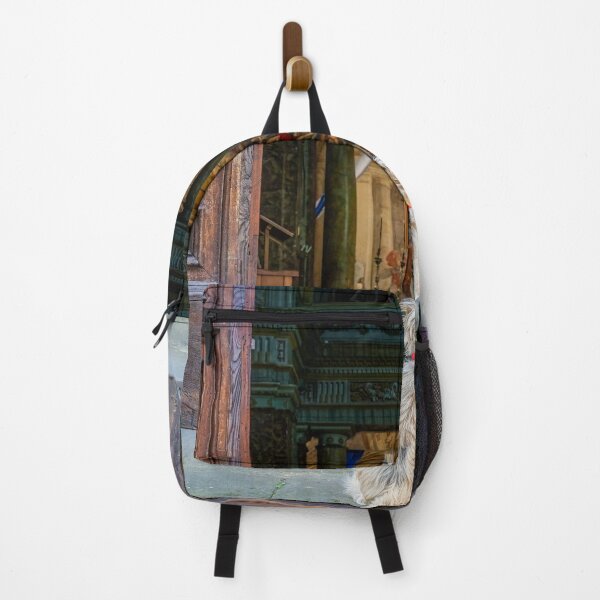 Item preview, Waiting Patiently in Viterbo Italy designed and sold by PhotoArt by Joan Carroll.