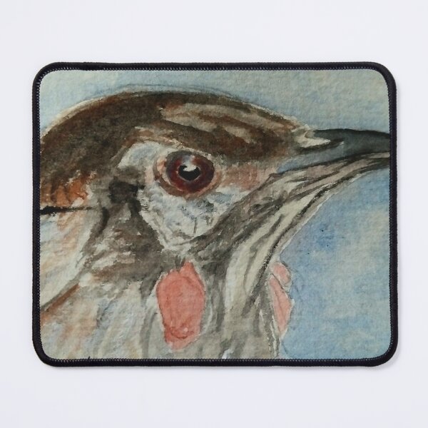 Item preview, Red Wattlebird designed and sold by Frederick James Norman.