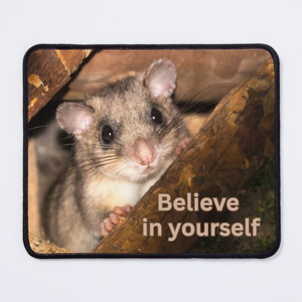 Item preview, Dormouse – Believe in yourself | Gentle strength & trust designed and sold by Katja LebenFreude.