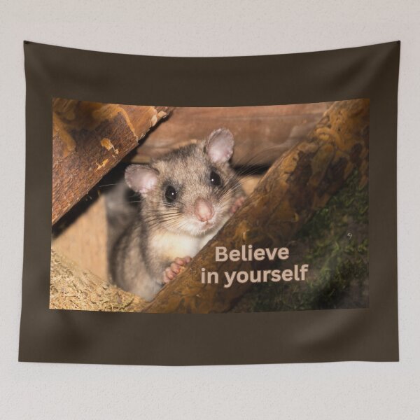 Item preview, Dormouse – Believe in yourself | Gentle strength & trust designed and sold by Katja LebenFreude.