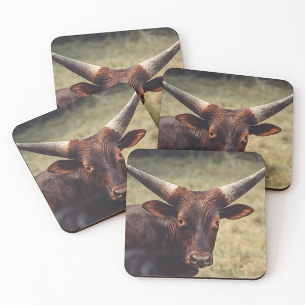 Item preview, Majestic Ankole-Watusi with Towering Horns designed and sold by Por.Ahi.PR.