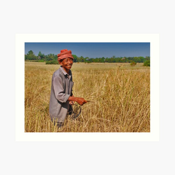 Rice Farmer Art Print