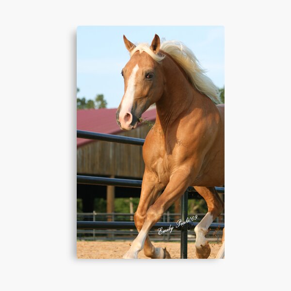 Hey Hottie Canvas Print