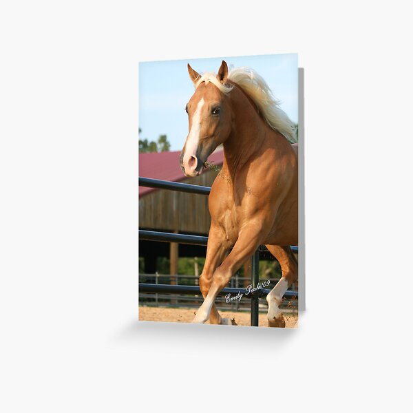 Hey Hottie Greeting Card