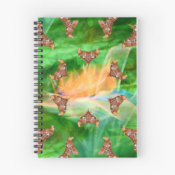 Item preview, Spring Dance – Strelitzia and Butterflies / Swiss Artwork Photography designed and sold by Raphael Wolf.