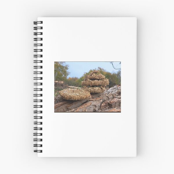 Item preview, Honigwabe auf dem Baum – Süße Natur designed and sold by Yaroplanner.
