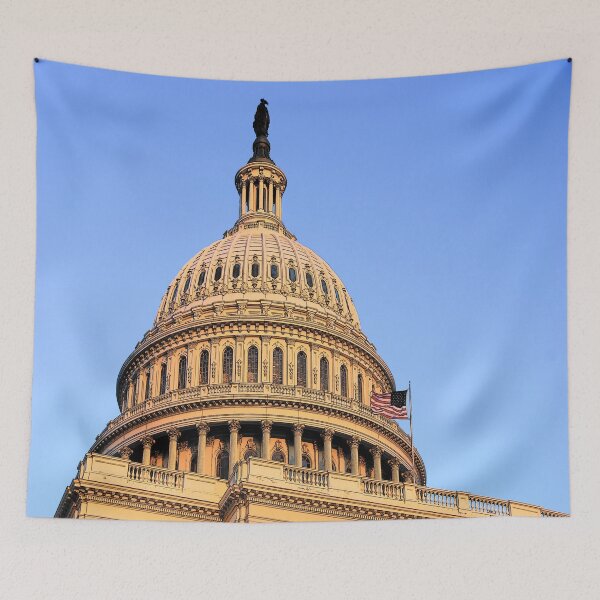 Item preview, The Dome designed and sold by John Schneider.