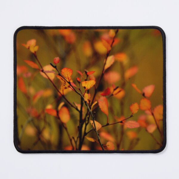 Item preview, Kaleidoscope of Color designed and sold by Betsy Seeton.