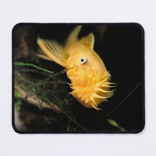 Item preview, Lemon Blue-Eye II designed and sold by Emily Noyes.