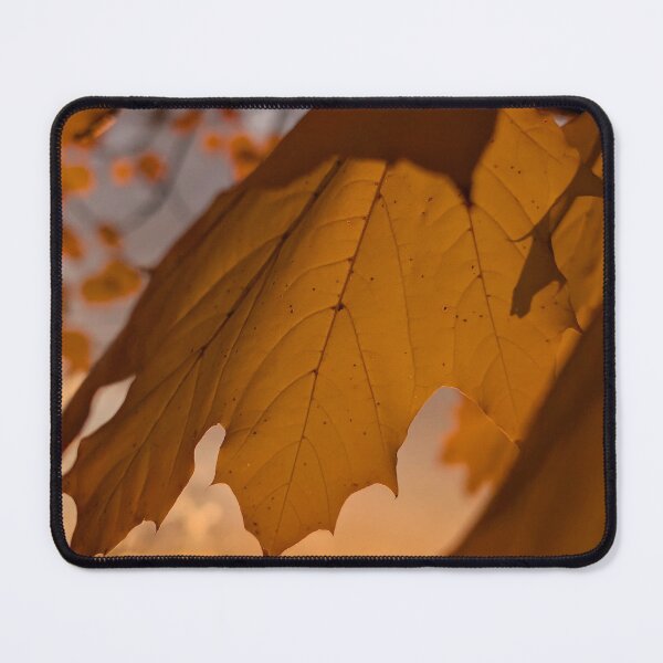 Item preview, Fall Gold designed and sold by Emily Noyes.