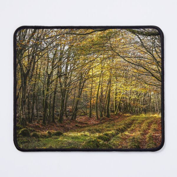 Item preview, Trail of the Unexpected—Autumn Edition designed and sold by PhilADawson.