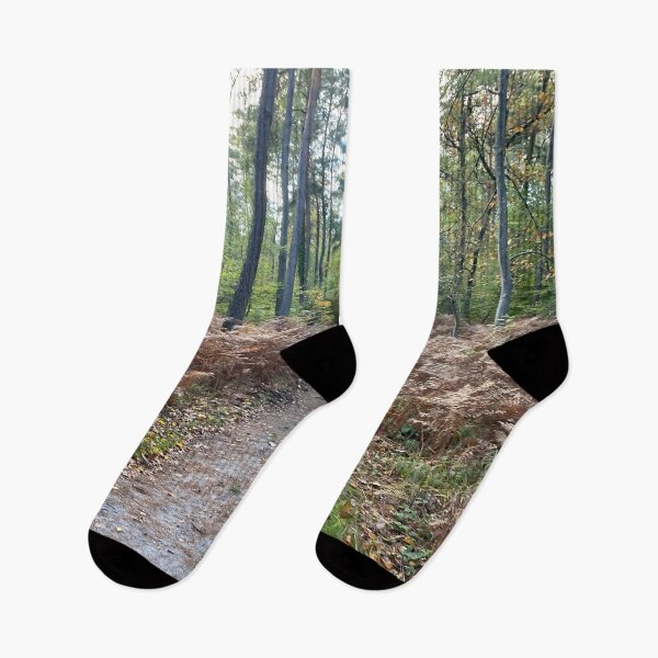 Item preview, Autumn Forest Path : Peaceful Nature Trail Photography designed and sold by Louise2026.