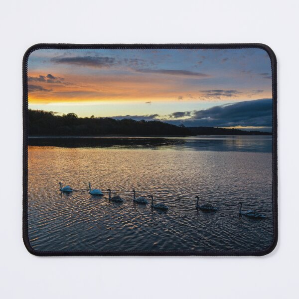 Item preview, Swans Returning Home at Dusk designed and sold by Kasia Design.
