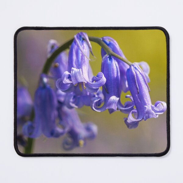 Item preview, Great British Bluebell designed and sold by AMS WORLD.