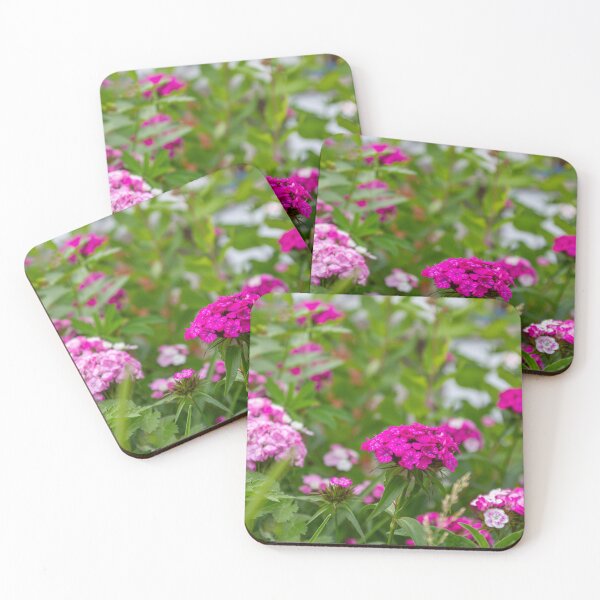 Item preview, Fuchsia Clusters: Sweet William in the Garden designed and sold by Greysline.
