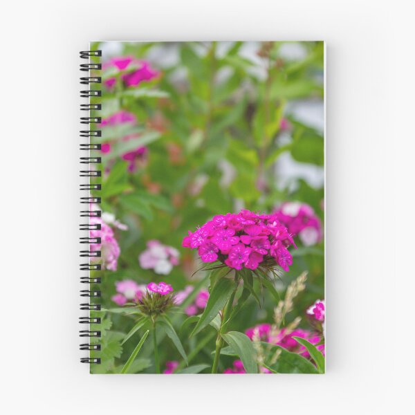 Item preview, Fuchsia Clusters: Sweet William in the Garden designed and sold by Greysline.