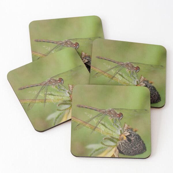 Item preview, A dragonfly on a drying rudbeckia flower designed and sold by Production Art Manon Meilleur.