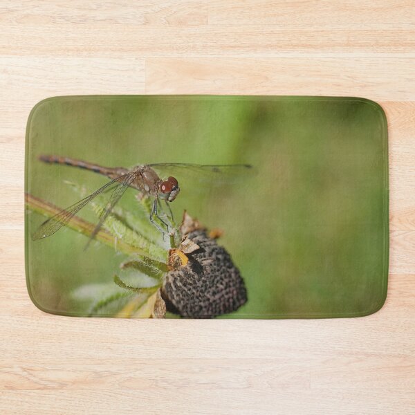 Item preview, A dragonfly on a drying rudbeckia flower designed and sold by Production Art Manon Meilleur.